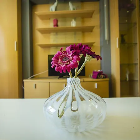 Apartmán Ringeltaube - Wohnen Zu Hause